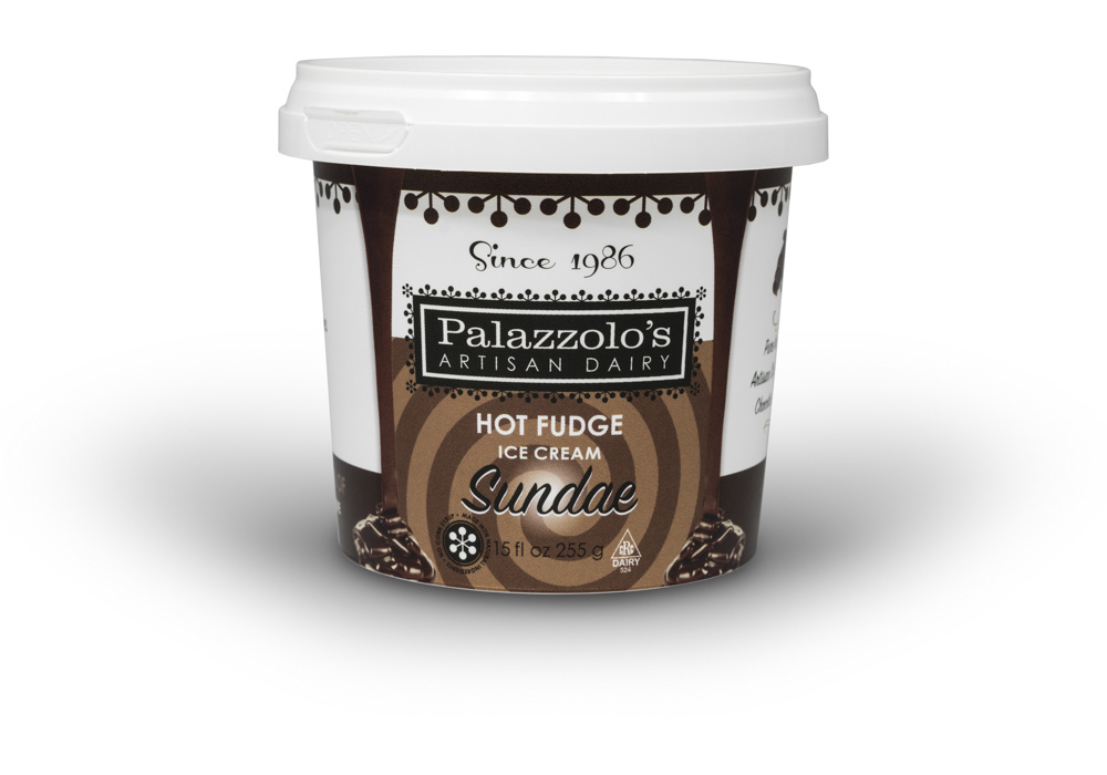 Hot Fudge Ice Cream Artisan Sundae Cup Artisan Sundae Cups